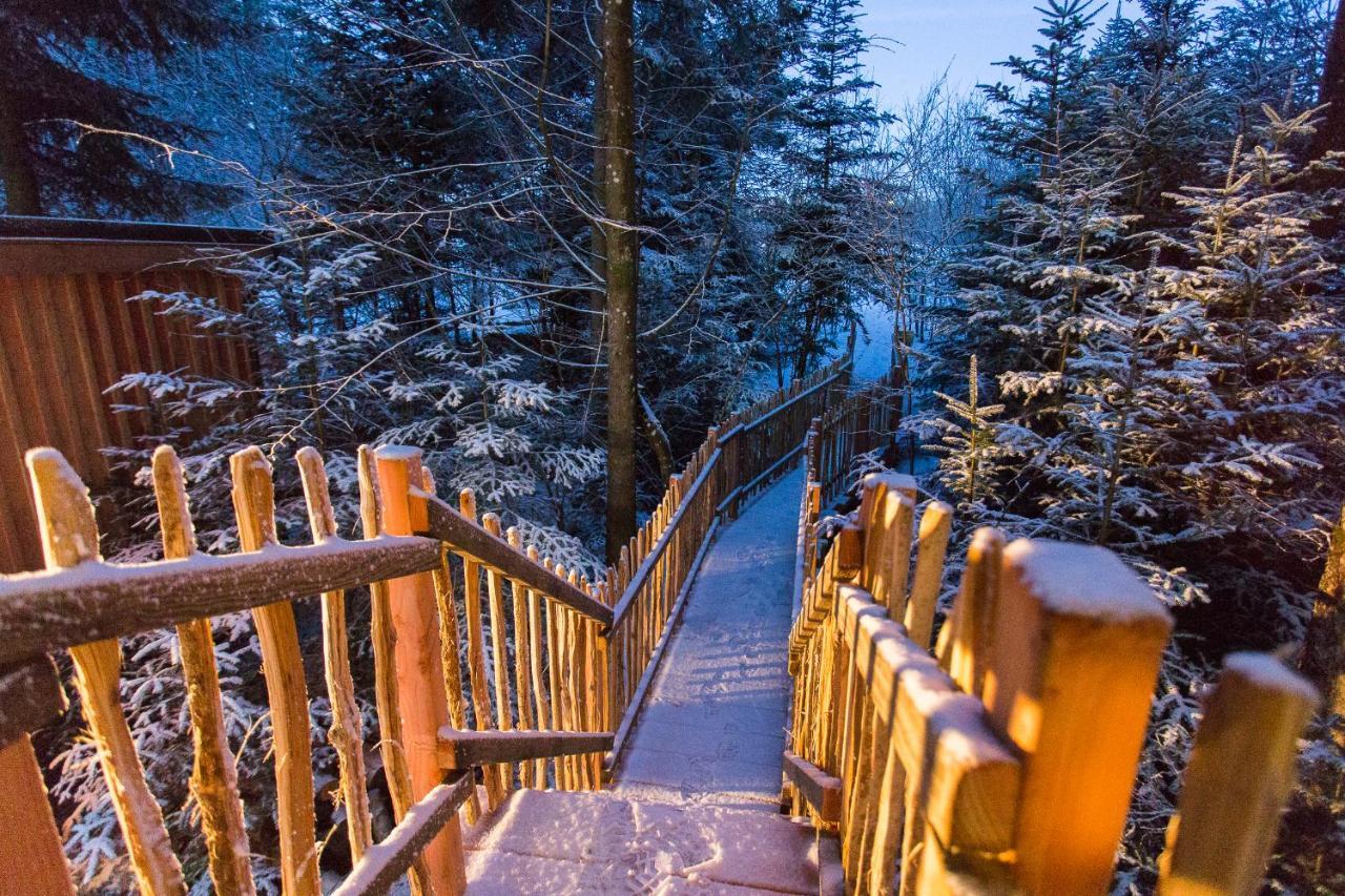 Domaine De L'Authentique Cabanes Dans Les Arbres Fournet-Blancheroche Экстерьер фото